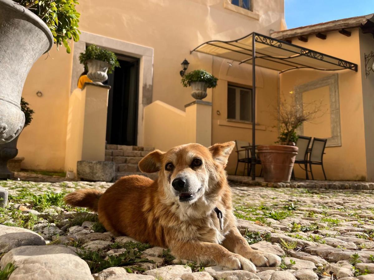 Agriturismo Castello Santa Margherita Cori Eksteriør billede